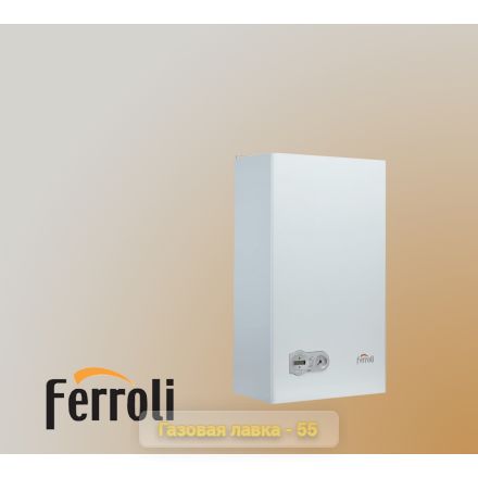 Газовый настенный котел Ferroli Fortuna Pro F13 